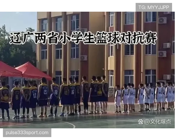 篮球比赛中的身体接触容忍度在不同联赛里差异大吗？